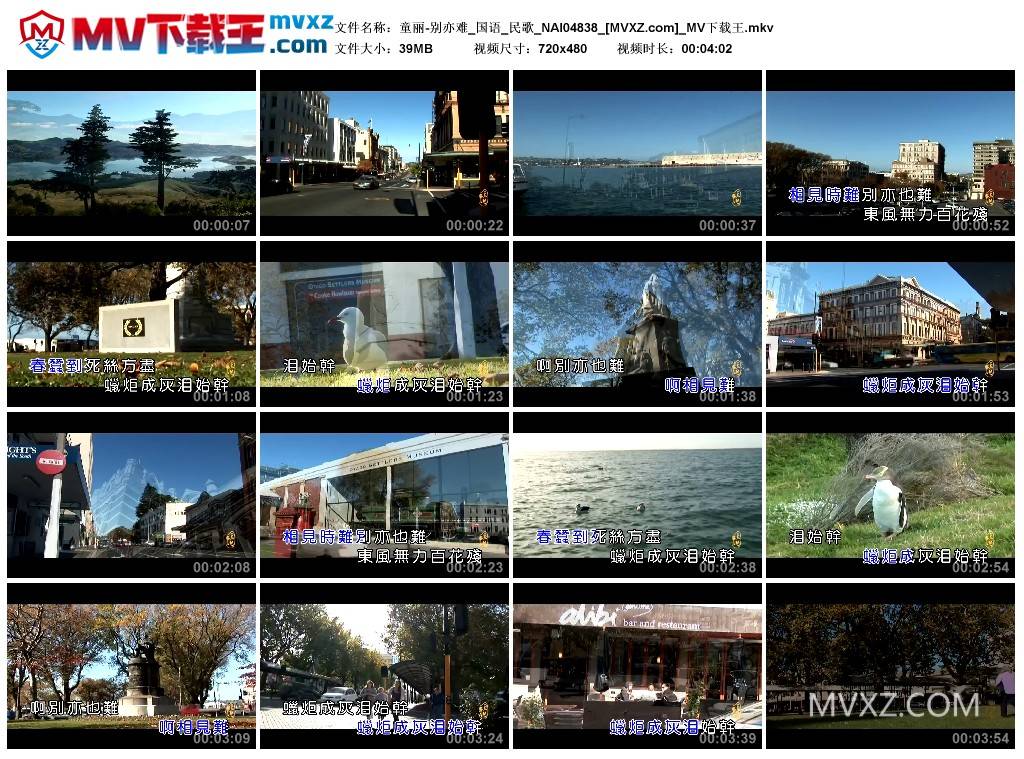 童丽-别亦难_国语_民歌_NAI04838